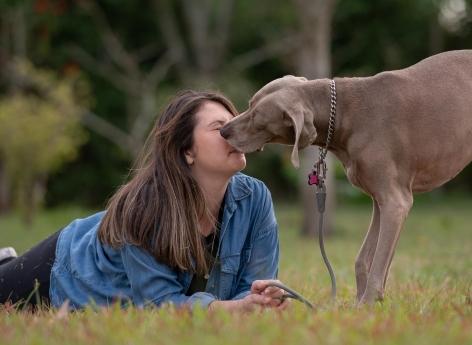 Stress post-traumatique : les chiens peuvent le détecter avant même l'apparition des symptômes
