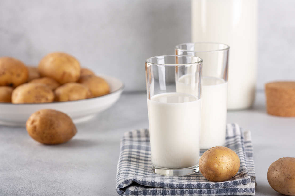 Le lait de patates, boisson du futur ?