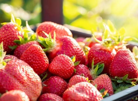 Manger des fraises améliore la santé mentale et cognitive