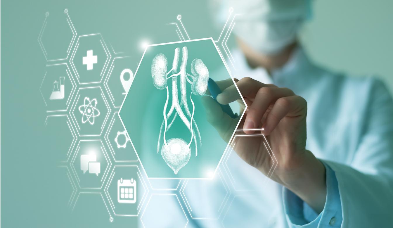 Cancer de la vessie : un implant à chimio pour éliminer les tumeurs sans chirurgie