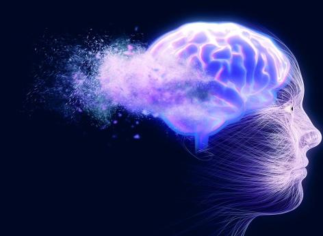 I ricercatori hanno scoperto un collegamento tra due proteine ​​nel cervello