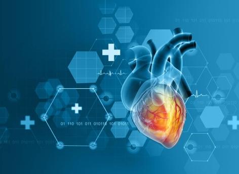 Tachycardie : voici 10 causes qui font palpiter le cœur trop vite