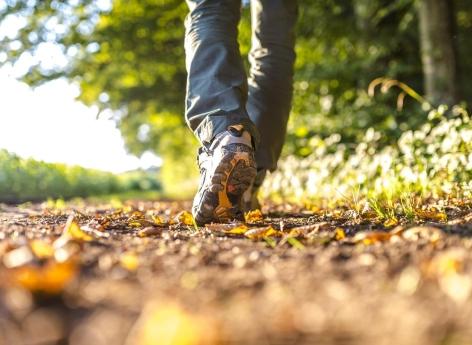 Cerveau : une promenade dans la nature aide à retrouver la concentration 