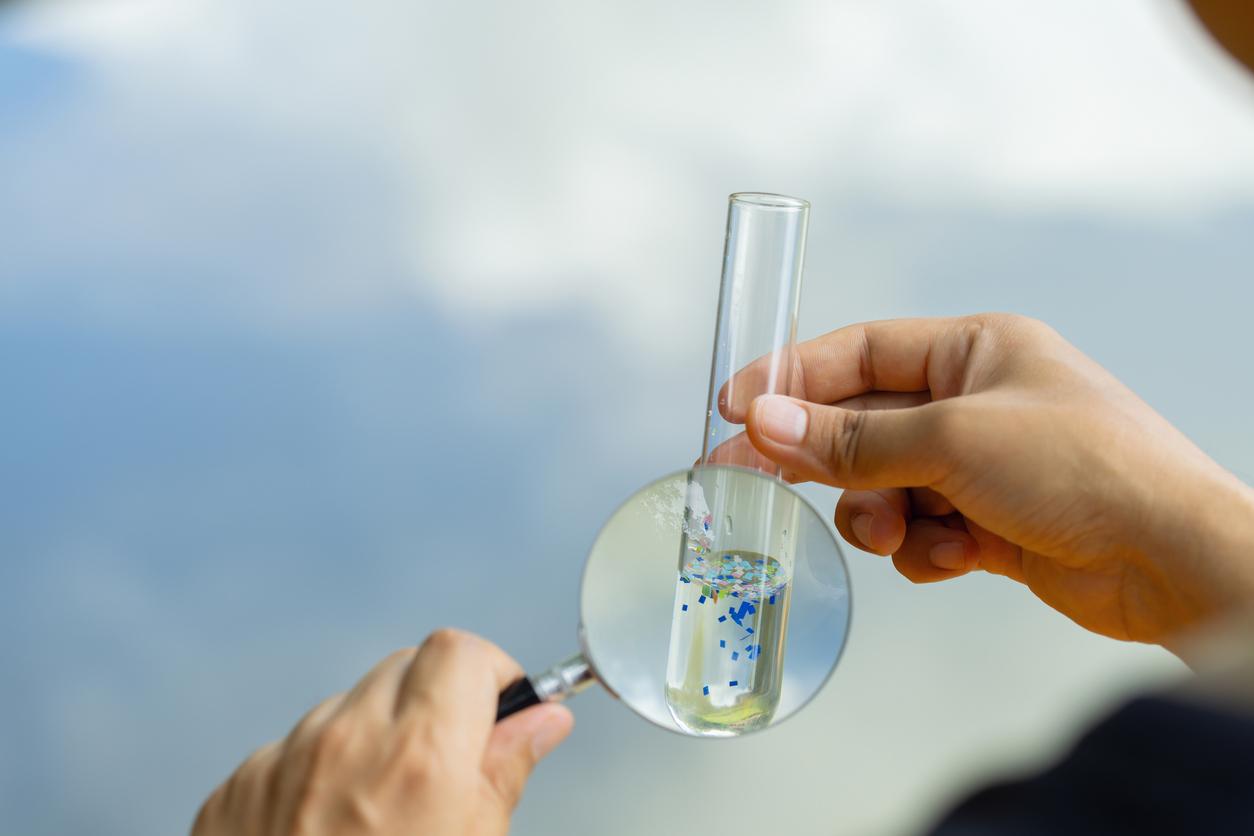 Les microplastiques nuisent à la santé osseuse