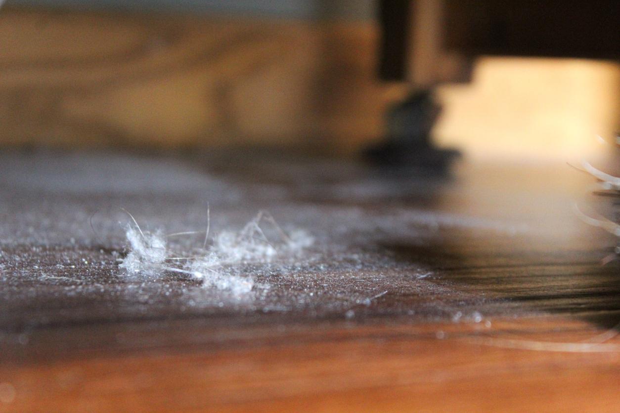 Pesticides : quels sont les produits chimiques les plus détectés dans les logements ? 