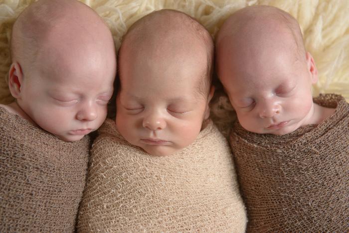 FIV : pourquoi le transfert d’un seul embryon peut aboutir à des jumeaux ou à des triplés