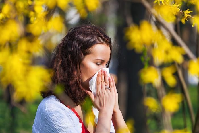 Une application pour smartphone prédit les taux de concentration de pollen dans votre ville 
