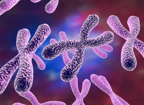 Troubles du spectre de l’autisme : l’inactivation du chromosome X peut réduire le risque 