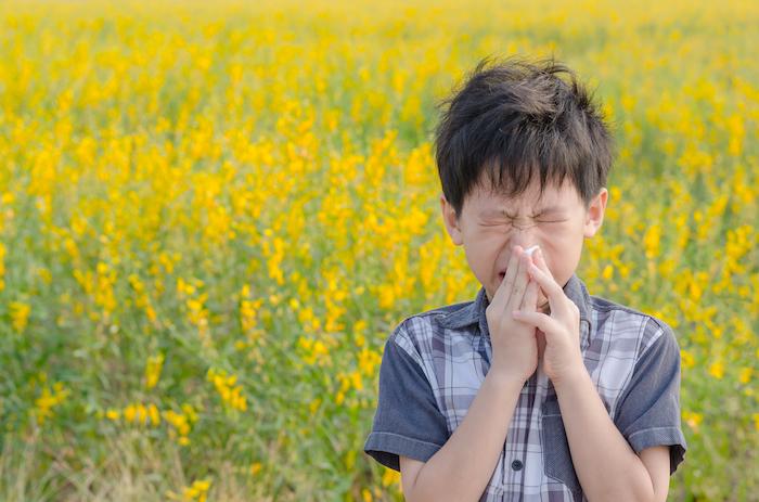 Allergies : la quasi-totalité de la France en alerte orange aux pollens de graminées 