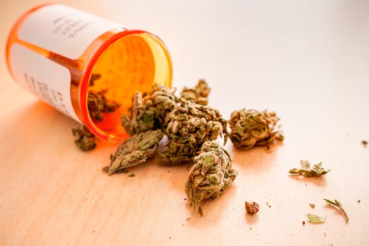 Cannabis thérapeutique : le comité d’experts de l'ANSM se dit favorable à sa légalisation 