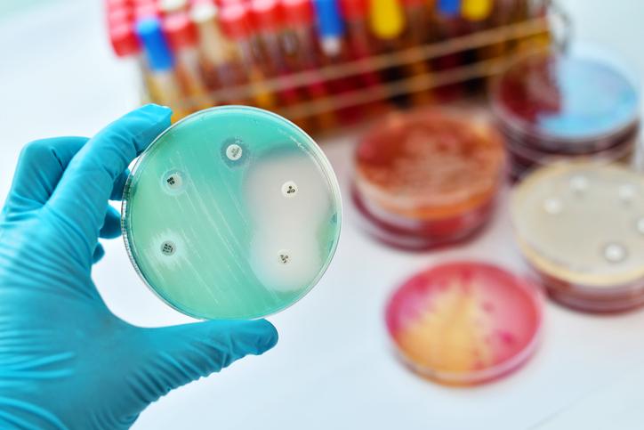 Antibiotiques : les bactéries multi-résistantes responsables de 33 000 morts en Europe 