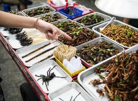 Manger des insectes peut améliorer la santé intestinale et aider la planète