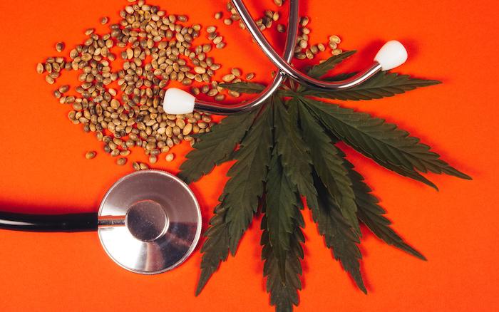 Des élus s'engagent pour le cannabis thérapeutique : sur quelles études se basent-ils ?  