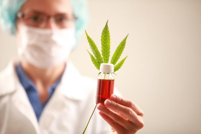 Cannabis médical : quels sont ses bienfaits sur la santé ?
