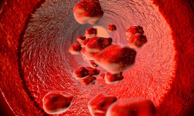 Anémie hémolytique : un nouveau traitement dans la maladie des agglutinines froides