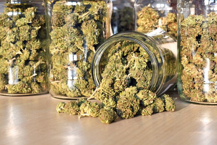 Cannabis légal : de plus en plus de \