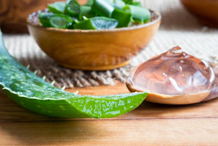 Attention, les feuilles fraîches d’aloe vera sont laxatives et potentiellement cancérigènes