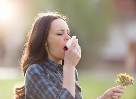Les allergies plus sévères cette année… la chaleur pas seule en cause !