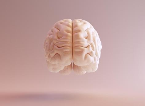 Cerveau : des chercheurs impriment en 3D du tissu cérébral fonctionnel 