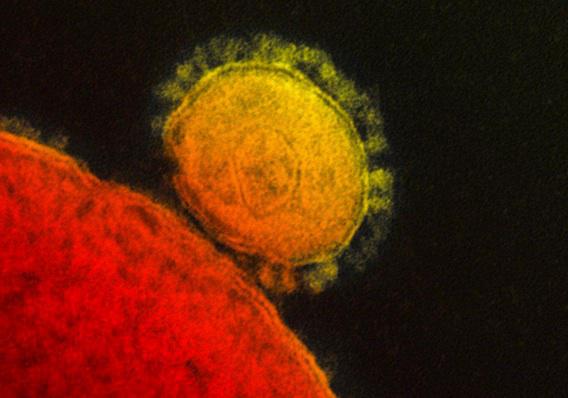 Coronavirus : 9 cas confirmés en Corée du Sud 