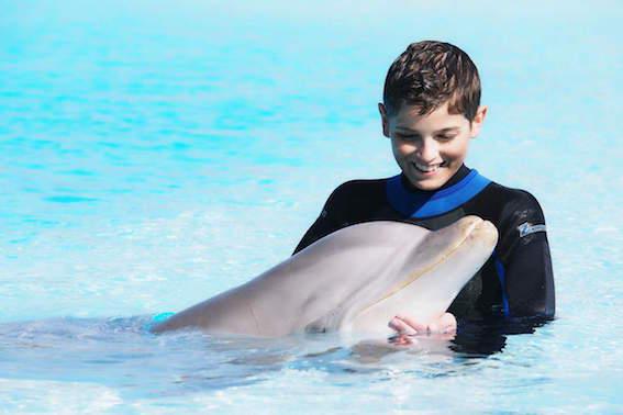 Leucémie : l'appel aux dons de Matéo