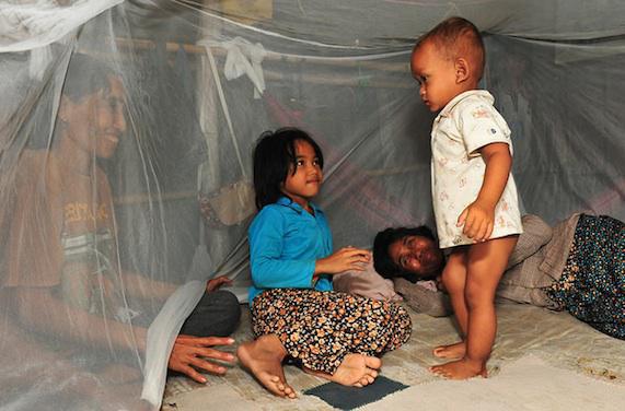 Paludisme : la résistance au traitement confinée à l'Asie du Sud-Est