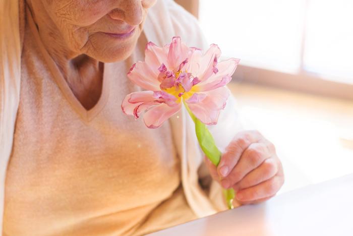 Parkinson : un test olfactif pour prédire le risque 