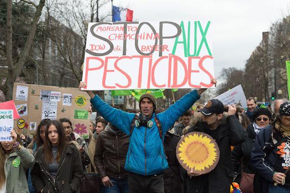 Pesticide : 70 % des Français ne veulent plus du glyphosate