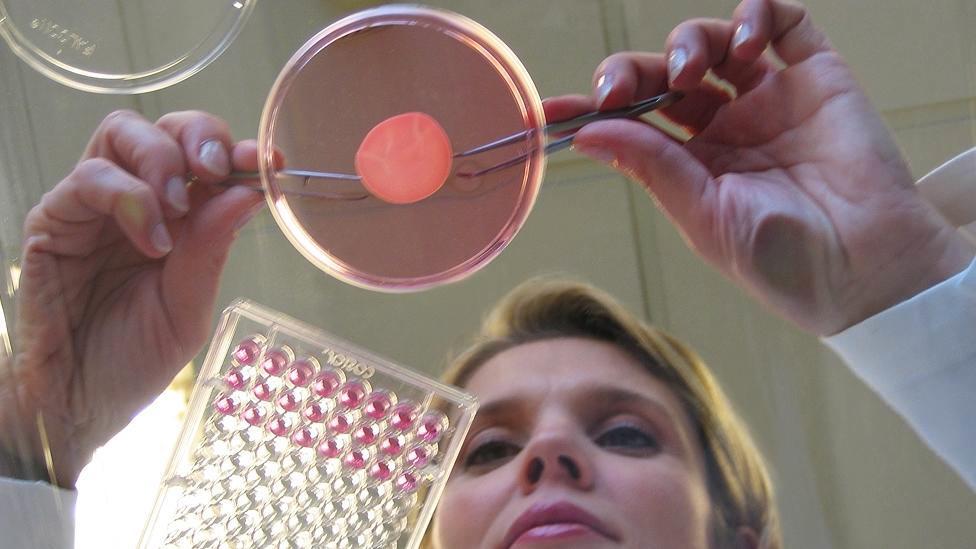 L’Oréal fait imprimer des tissus humains pour tester ses produits