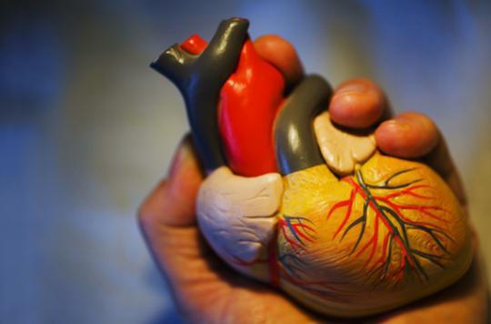 Maladies cardiovasculaires :  revoir les schémas de prévention