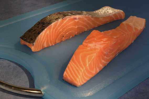 OGM : les Etats-Unis autorisent un saumon génétiquement modifié