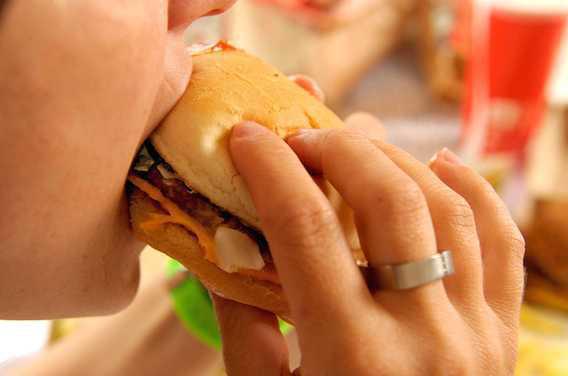 Un régime alimentaire gras perturbe la communication cellulaire