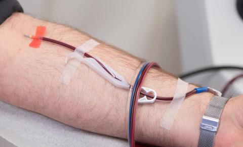Don de sang : profitez de vos vacances pour donner !
