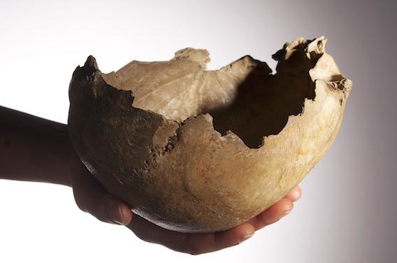Des traces de cannibalisme retrouvées dans une grotte britannique