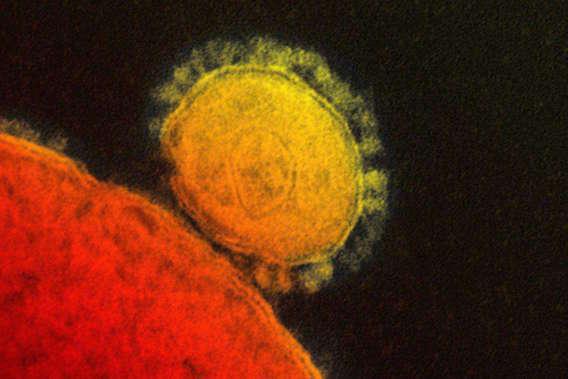 Coronavirus : un Allemand décède du virus