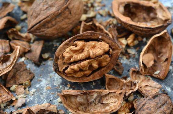 Manger des noix réduit le risque de mortalité prématurée