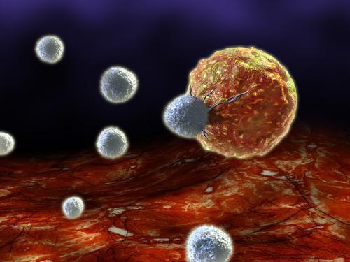 Deux nouvelles pistes pour faire advancer l’immunothérapie du cancer