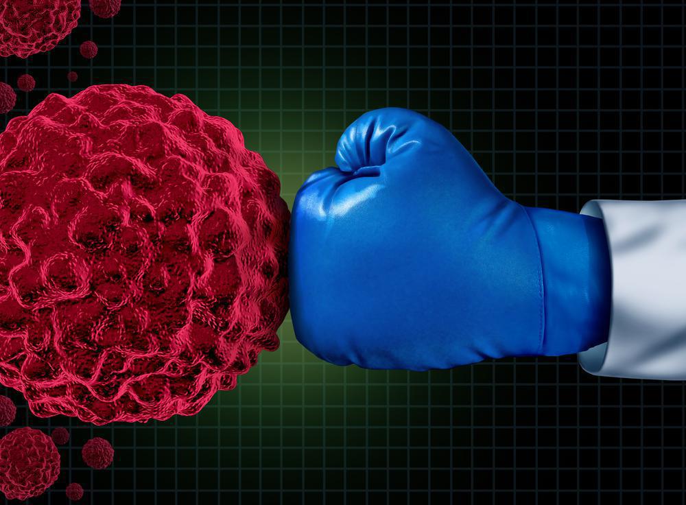 Cancer : des chercheurs boostent des cellules immunitaires