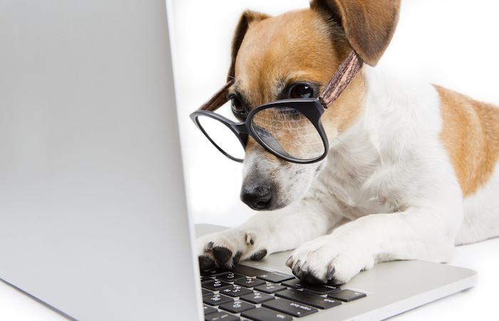 Revues scientifiques : un chien recruté pour la relecture d'articles