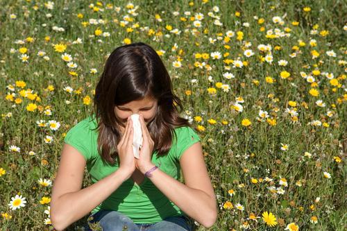 Allergies : du bouleau pour dimanche