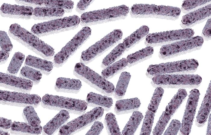 Bactérie E. coli : des escalopes de veau Jean Rozé contaminées 