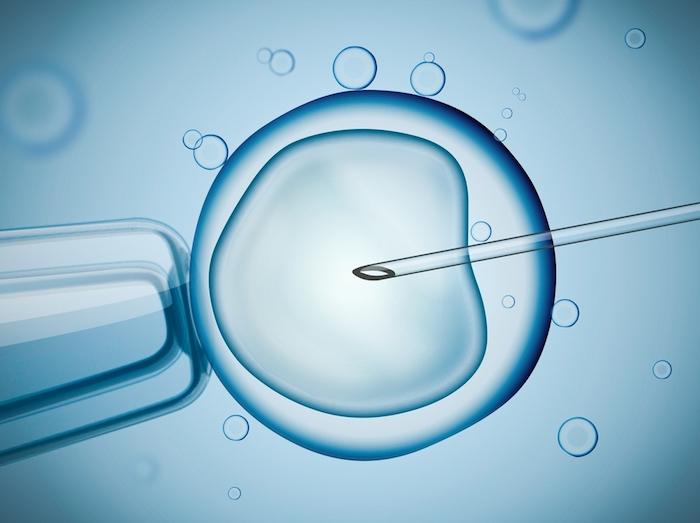 FIV : mêmes chances de grossesse avec des embryons frais ou congelés 