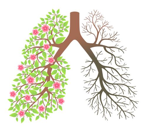 La BPCO (broncho-pneumopathie chronique obstructive) : silencieuse, mortelle, méconnue