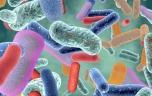 Diabète de type 2 : l’analyse du microbiote peut prédire le risque 