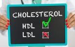 Le bon cholestérol… C'est bon pour la mémoire !