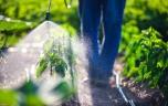 Pesticides, PFAS, cadmium... 