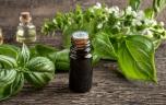 Basilic, fenouil, estragon : faut-il se méfier de certaines huiles essentielles ?