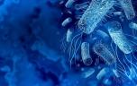 Aurait-on trouvé la parade à l’antibiorésistance ?
