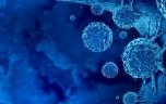 Cancers précoces : le vieillissement accéléré des jeunes générations en cause ?