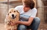 Comment les chiens d’assistance viennent au secours des jeunes diabétiques